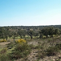 2009_portugal 223